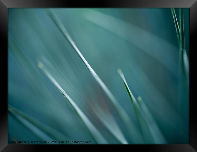 grass abstract Framed Print by Jo Beerens