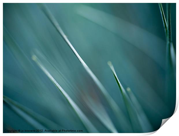grass abstract Print by Jo Beerens