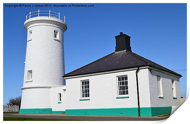 Nash Point Lighthouse - Western Tower Print by Paula J James