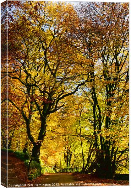 Autumnal lane Dulverton Canvas Print by Pete Hemington