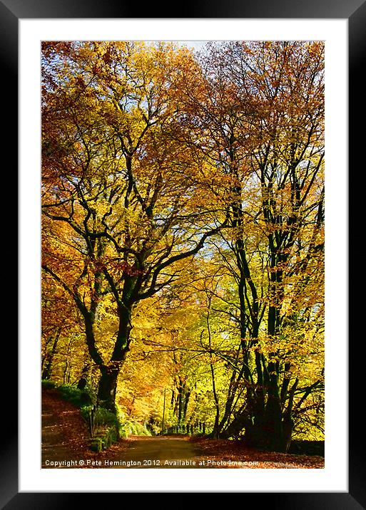 Autumnal lane Dulverton Framed Mounted Print by Pete Hemington