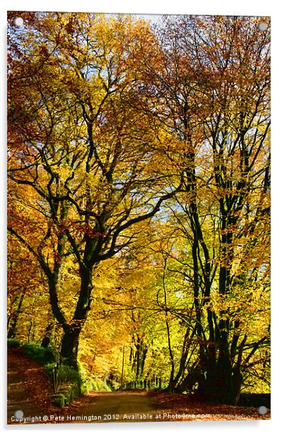 Autumnal lane Dulverton Acrylic by Pete Hemington