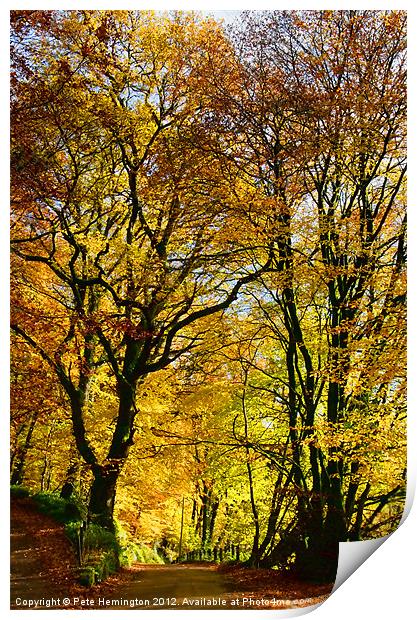 Autumnal lane Dulverton Print by Pete Hemington