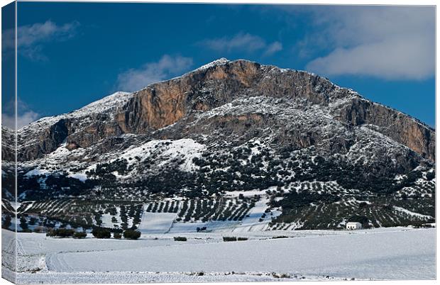 Malaga mountain snow Canvas Print by Barry Foote