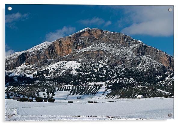 Malaga mountain snow Acrylic by Barry Foote