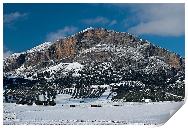 Malaga mountain snow Print by Barry Foote