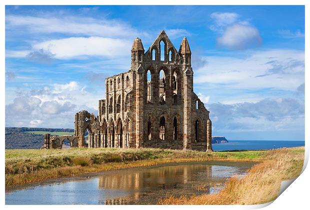 Whitby Abbey Print by David Hare