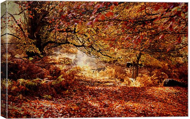 Fallen Leaves Canvas Print by Dawn Cox