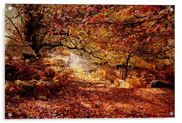 Fallen Leaves Acrylic by Dawn Cox