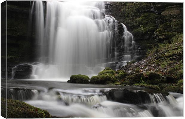 Scalber Force Canvas Print by Tesh Patel