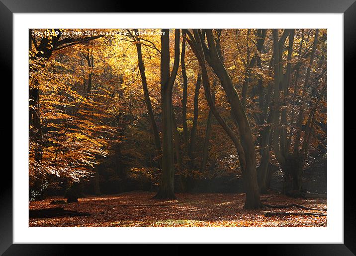 Autumn Light Framed Mounted Print by paul petty