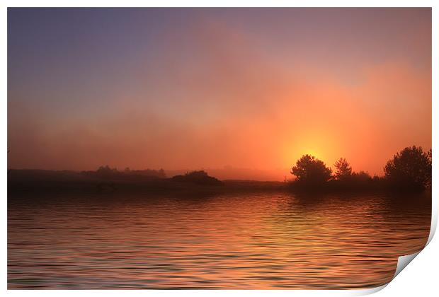 Cromer Sunrise Flood Print by David French