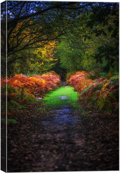 Autumn Path Canvas Print by Mark Harrop