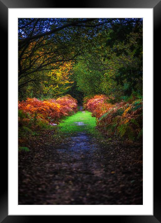 Autumn Path Framed Mounted Print by Mark Harrop