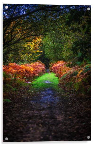Autumn Path Acrylic by Mark Harrop