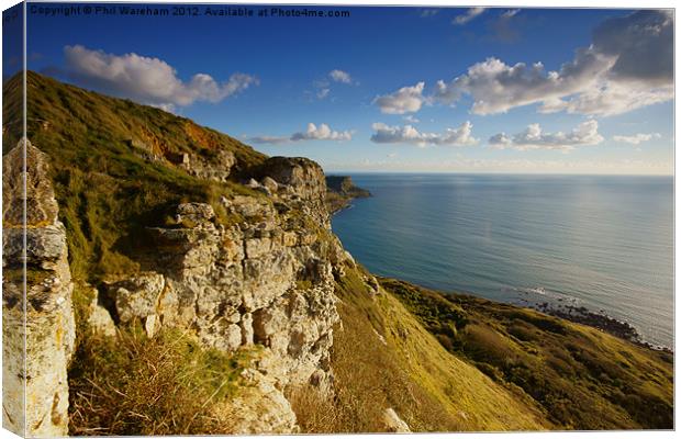 Cliff at Egmont Point Canvas Print by Phil Wareham