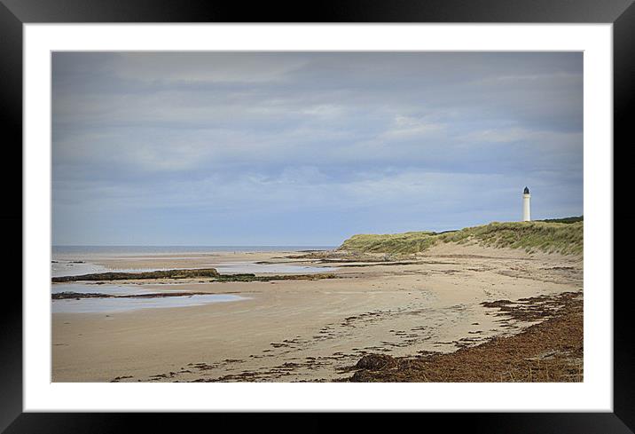 covesea lighthouse Framed Mounted Print by dale rys (LP)