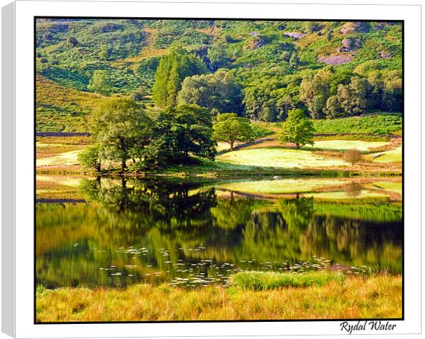 Rydal water Reflections Canvas Print by eric carpenter