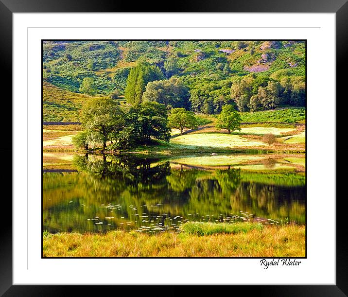 Rydal water Reflections Framed Mounted Print by eric carpenter