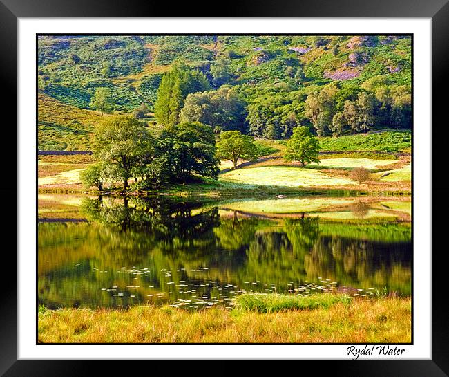Rydal water Reflections Framed Print by eric carpenter