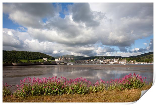 View to Conwy Print by Gail Johnson