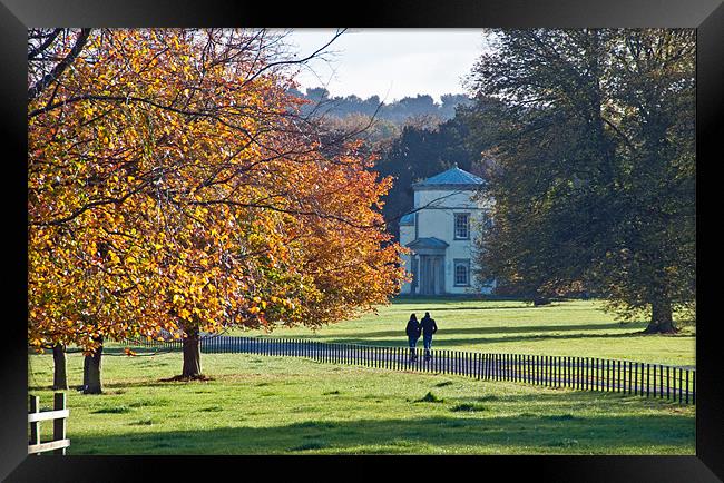 Tower of the Four Winds Shugborough Framed Print by Steve Smith