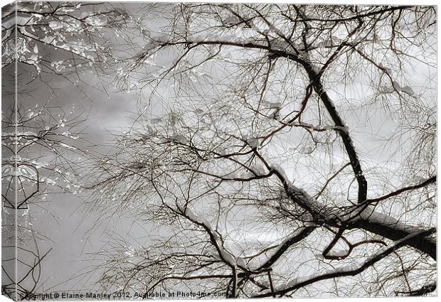 Snow and Ice on trees ....misc Canvas Print by Elaine Manley