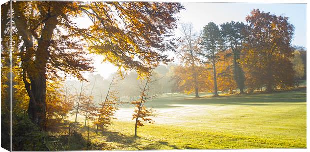 Autumn Morning Canvas Print by Clive Eariss