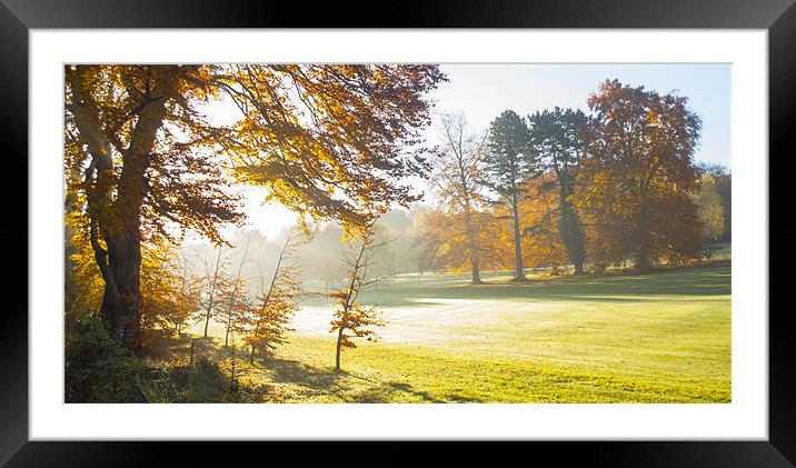 Autumn Morning Framed Mounted Print by Clive Eariss
