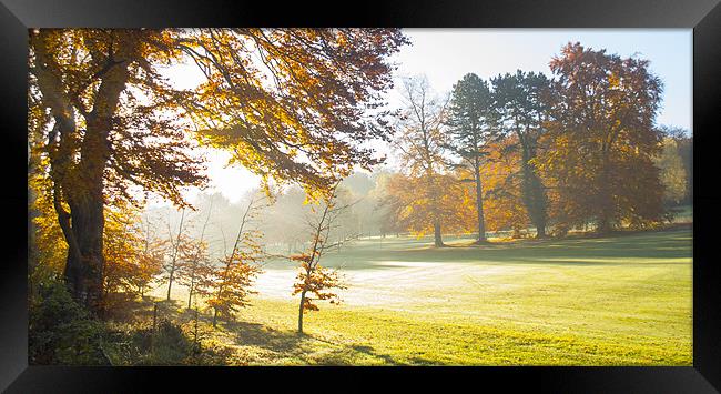 Autumn Morning Framed Print by Clive Eariss