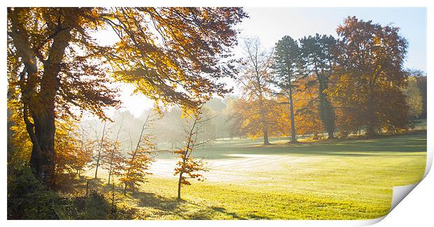 Autumn Morning Print by Clive Eariss
