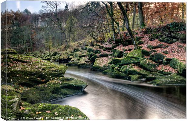 The Shimmering Strid Canvas Print by Chris Frost