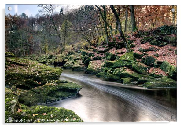 The Shimmering Strid Acrylic by Chris Frost