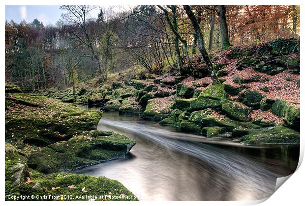 The Shimmering Strid Print by Chris Frost