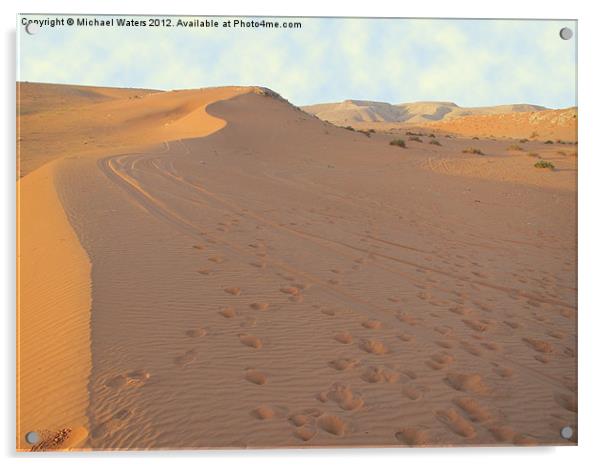 Footprints in the Sand Acrylic by Michael Waters Photography