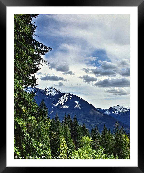 Canadian Rocky Mountain Woodlands Framed Mounted Print by Gary Barratt