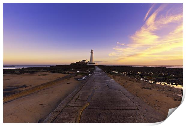 St Mary`s lighthouse Print by Northeast Images