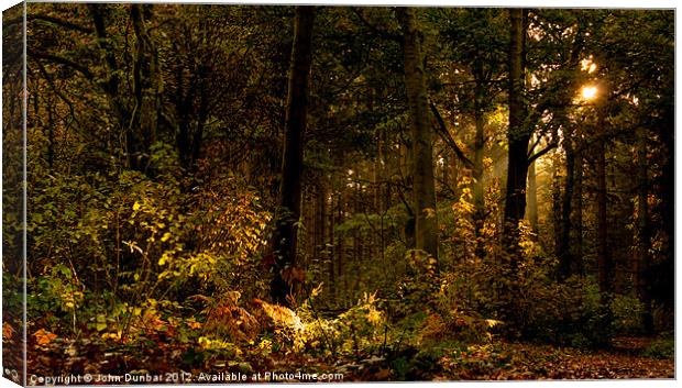 Autumn Woodland Canvas Print by John Dunbar