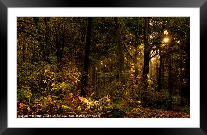 Autumn Woodland Framed Mounted Print by John Dunbar