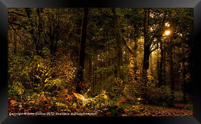 Autumn Woodland Framed Print by John Dunbar