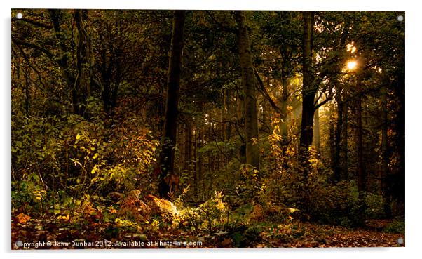 Autumn Woodland Acrylic by John Dunbar