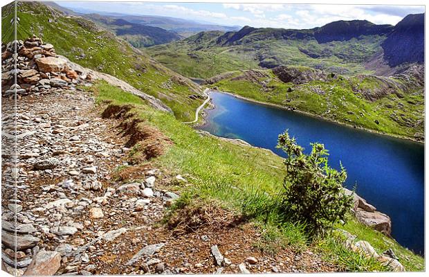 Llyn Cowlyd Canvas Print by World Images