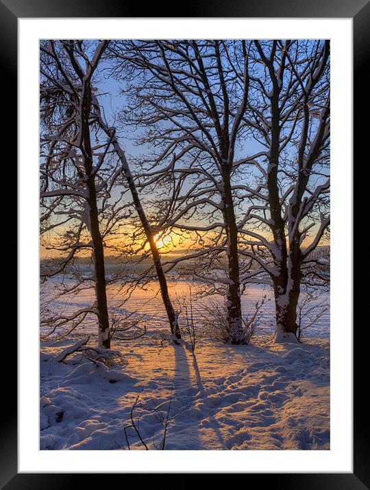 Golden Winter Sunrise Framed Mounted Print by Tracey Whitefoot