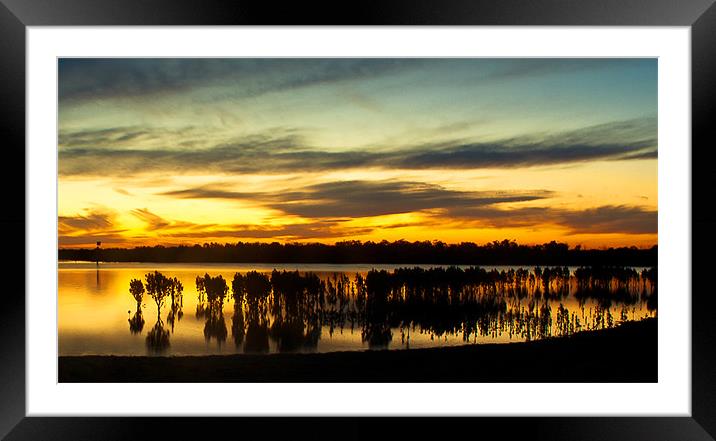 Mangrove sunset at Tooradin Framed Mounted Print by Matthew Burniston