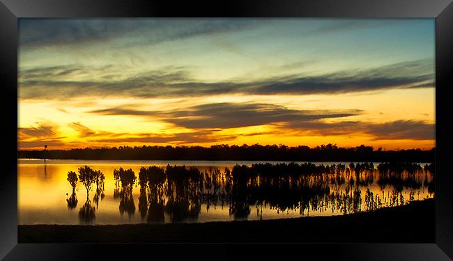 Mangrove sunset at Tooradin Framed Print by Matthew Burniston