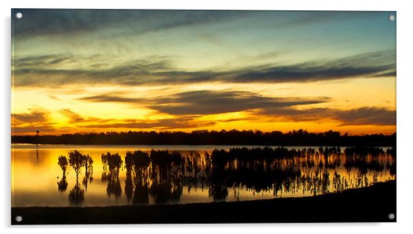 Mangrove sunset at Tooradin Acrylic by Matthew Burniston
