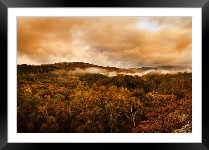 Autumnal colours and mists. Framed Mounted Print by David Hare