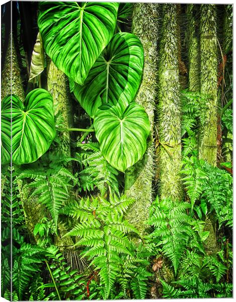 Jungle Canvas Print by Mary Lane