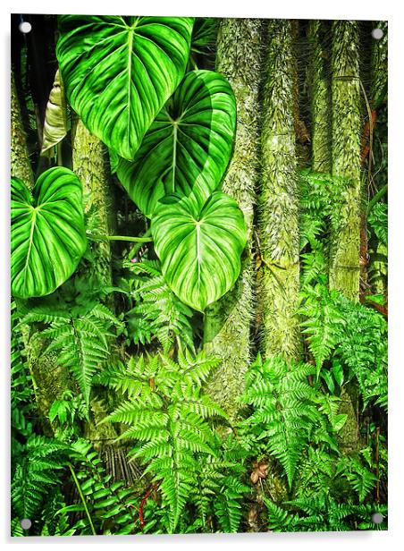Jungle Acrylic by Mary Lane