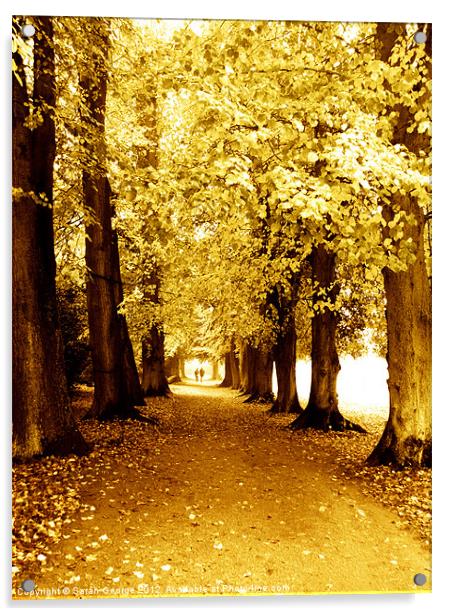 Autumn Stroll Acrylic by Sarah George